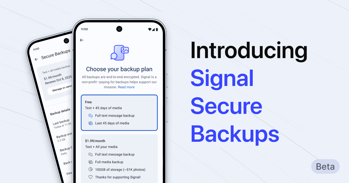 What information can be found on WhatsApp business accounts? Use Digital Planet for type filtering!